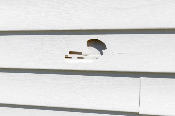 How To Choose The Right Materials for Your Siding Installation in 'Piney Point Village, TX